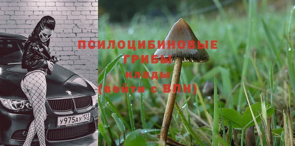 мяу мяу мука Горнозаводск