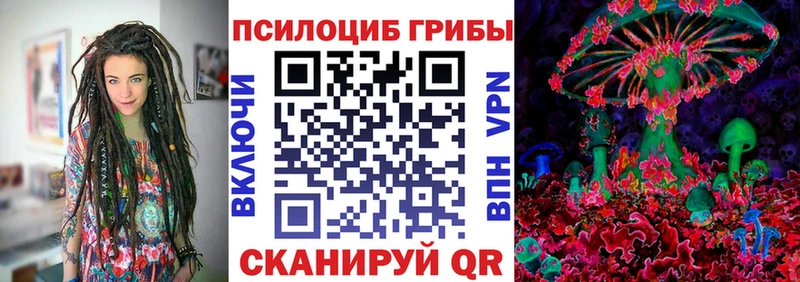 где можно купить наркотик  Зеленоградск  Галлюциногенные грибы Magic Shrooms 