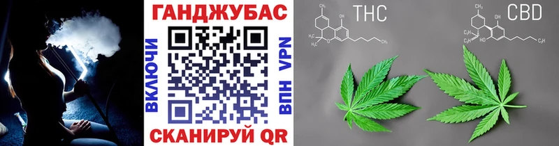 как найти Зеленоградск Каннабис гибрид